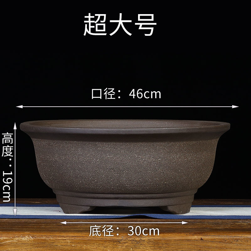 2024年2月11日今日硼砂最新价格查询