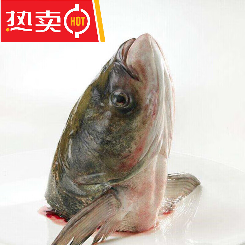 2024年2月13日宁夏白鲢活鱼价格行情今日报价查询