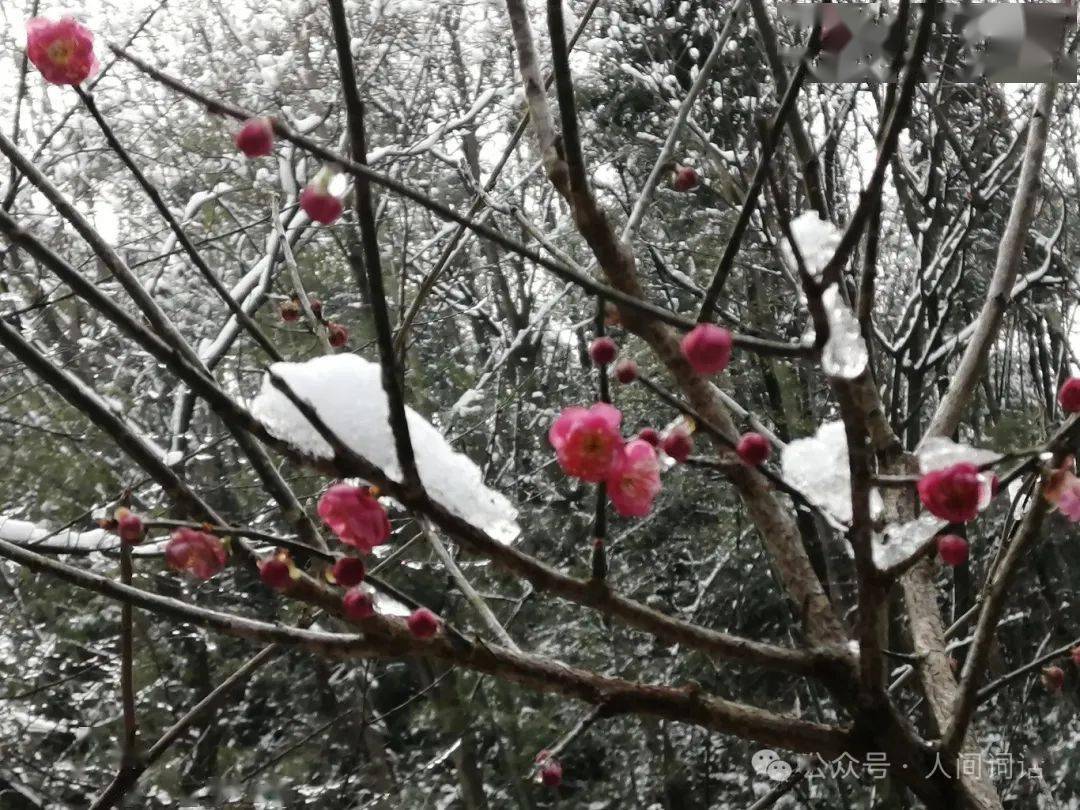 2024年2月14日今日绿沸石价格最新行情走势