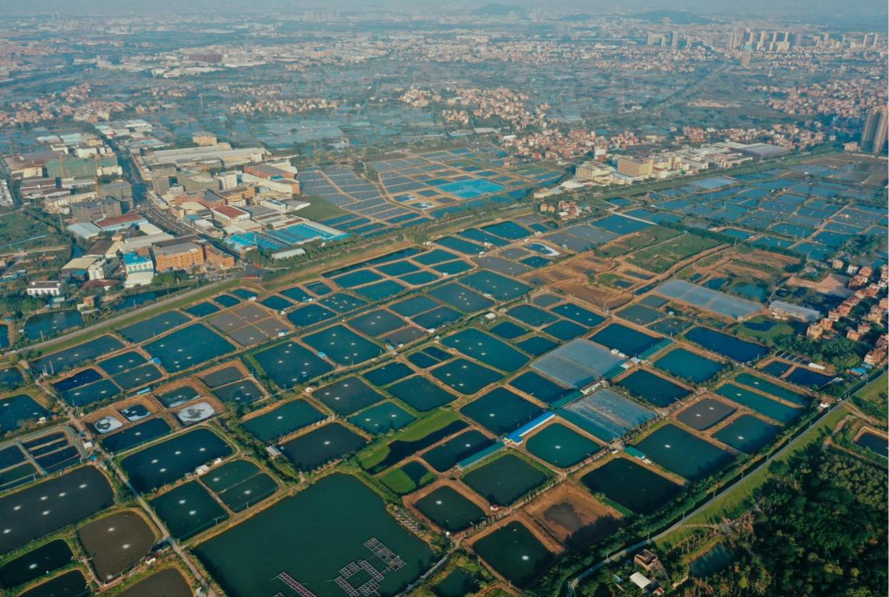 交易商协会发布“互换通”协议