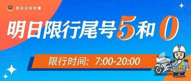 2024年5月13日今日郑州普中板最新价格查询