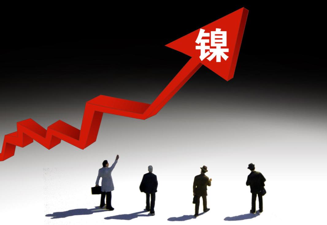 沪镍期货持仓龙虎榜分析：主力处于净空头状态