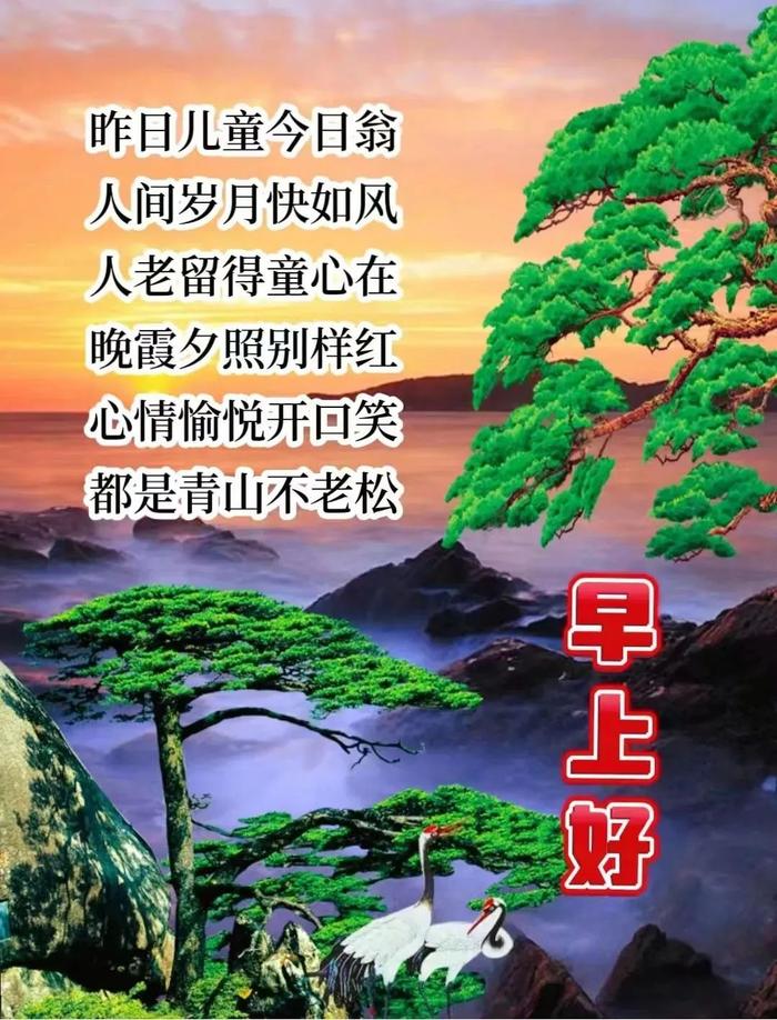 2024年12月7日今日绿沸石价格最新行情消息