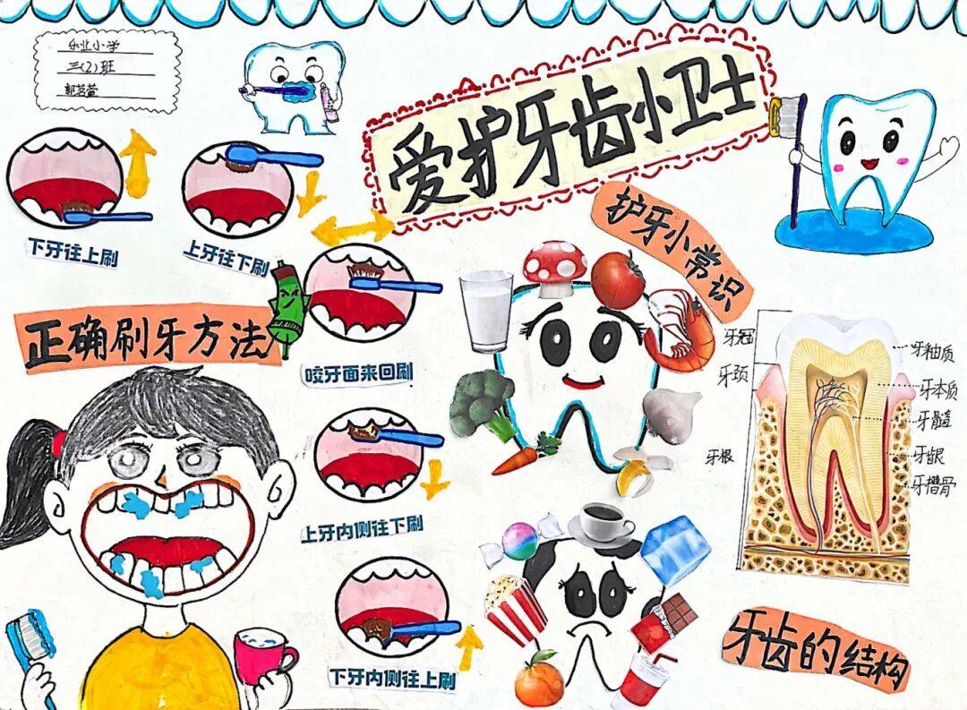 给老人孩子的爱牙指南（服务窗·“全国爱牙日”特别策划）